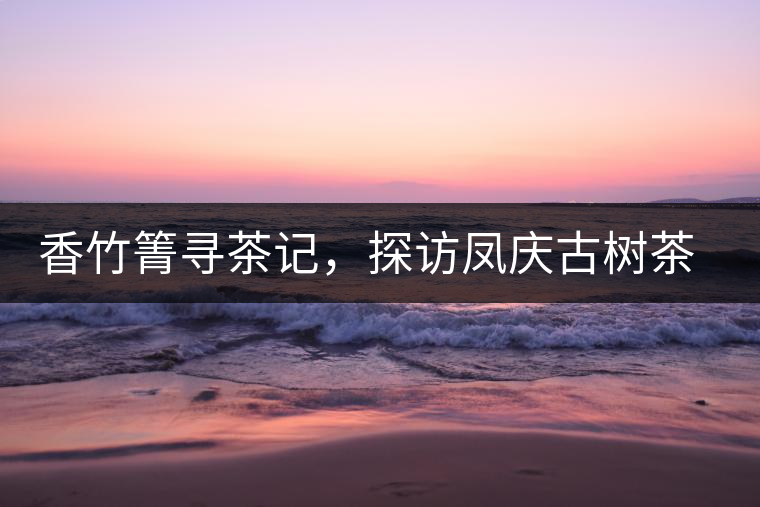 香竹箐尋茶記，探訪鳳慶古樹茶山