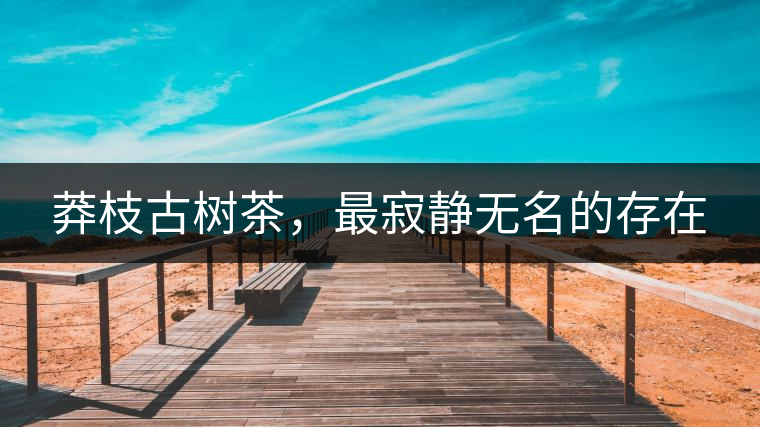 莽枝古樹(shù)茶，最寂靜無(wú)名的存在