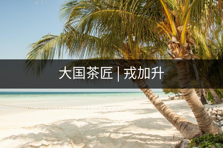 大國(guó)茶匠 | 戎加升 大國(guó)茶匠 | 戎加升