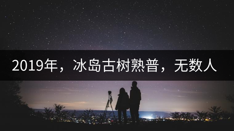 2019年，冰島古樹(shù)熟普，無(wú)數(shù)人在尋找