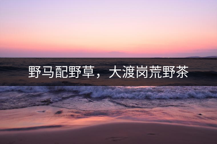 野馬配野草，大渡崗荒野茶