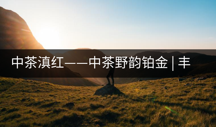 中茶滇紅——中茶野韻鉑金 | 豐苗挺秀，山野花香