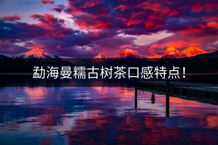 勐海曼糯古樹茶口感特點(diǎn)！