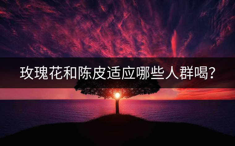 玫瑰花和陳皮適應(yīng)哪些人群喝？