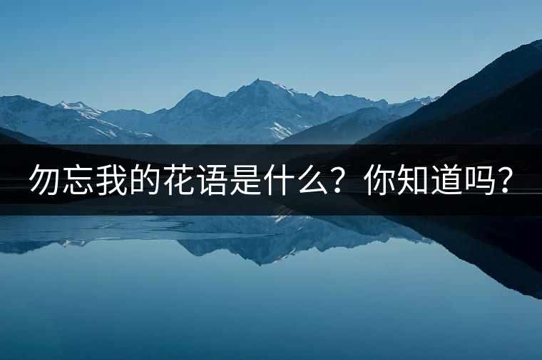 勿忘我的花語(yǔ)是什么？你知道嗎？