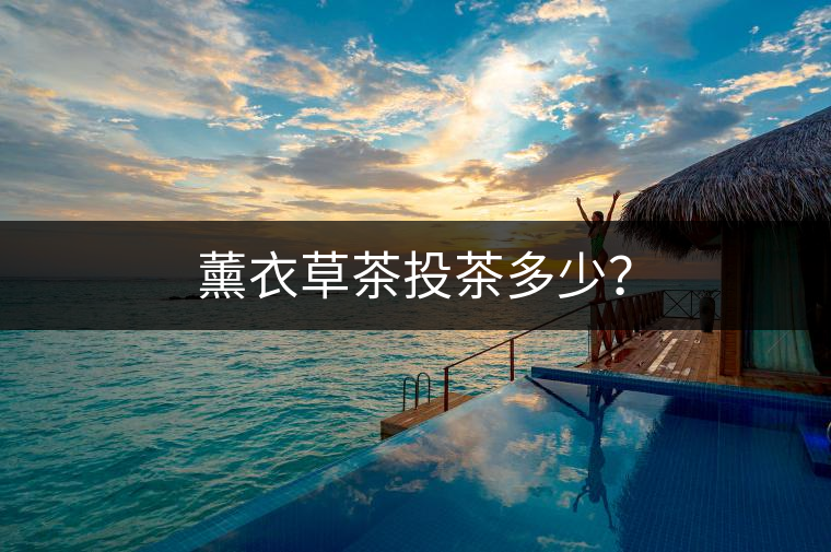 薰衣草茶投茶多少？