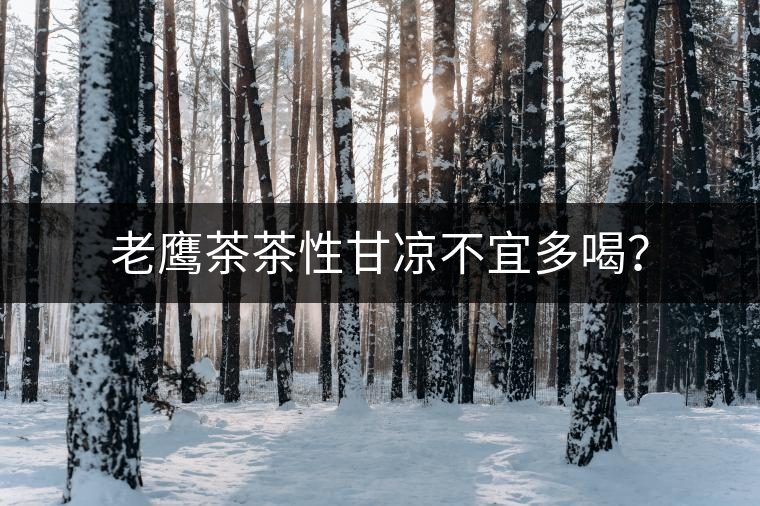 老鷹茶茶性甘涼不宜多喝？