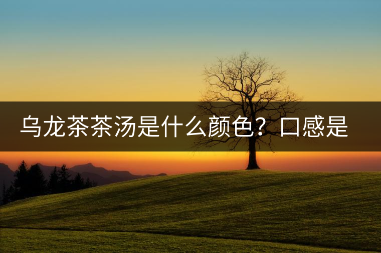 烏龍茶茶湯是什么顏色？口感是什么？