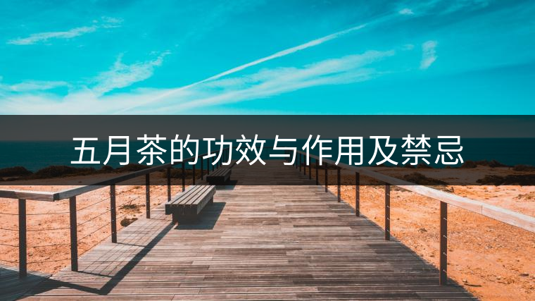 五月茶的功效與作用及禁忌 五月茶的功效與作用及禁忌