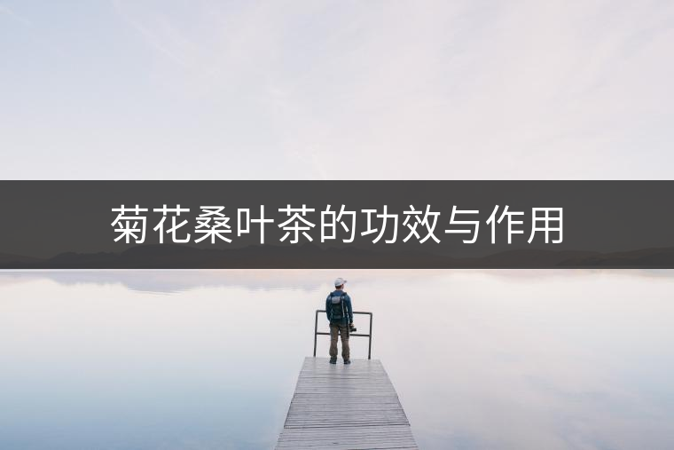 菊花桑葉茶的功效與作用