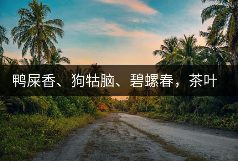 鴨屎香、狗牯腦、碧螺春，茶葉到底是如何被命名的