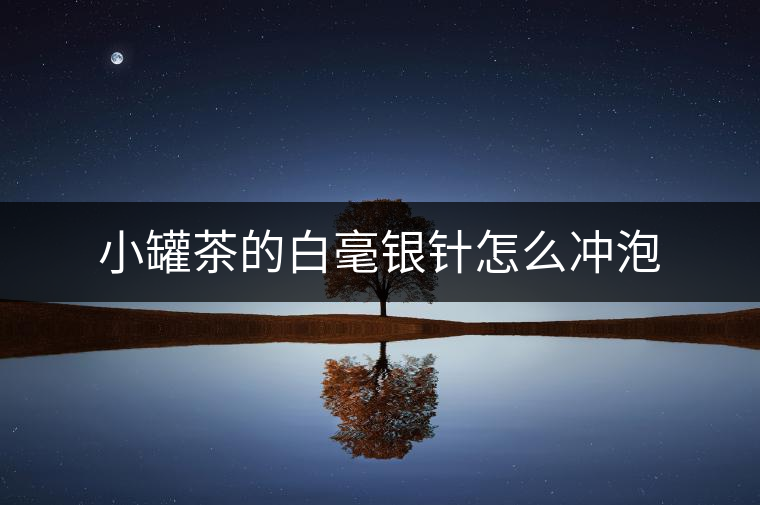 小罐茶的白毫銀針怎么沖泡