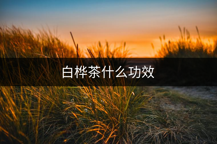 白樺茶什么功效