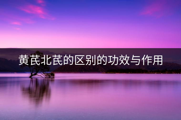 黃芪北芪的區(qū)別的功效與作用