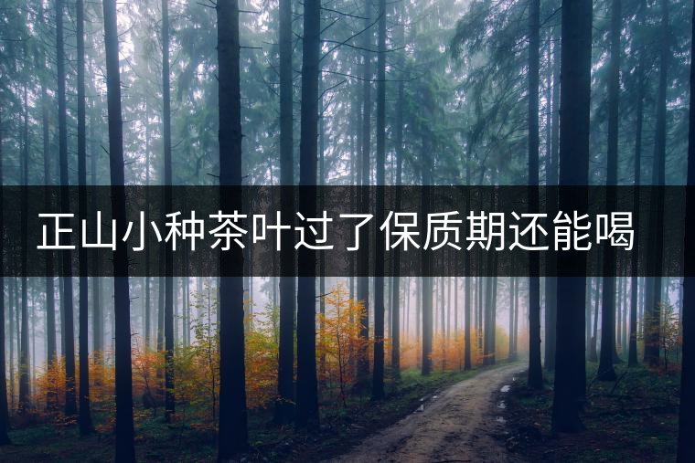 正山小種茶葉過了保質(zhì)期還能喝嗎 正山小種茶葉過了保質(zhì)期還能喝嗎