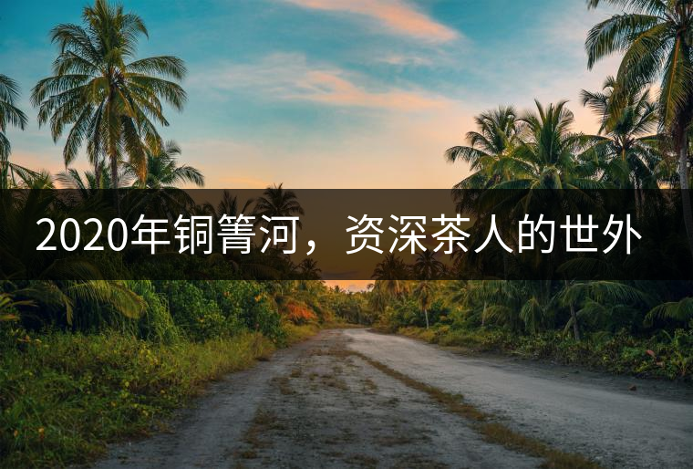 2020年銅箐河，資深茶人的世外桃源-易武-易武中聘號(hào)