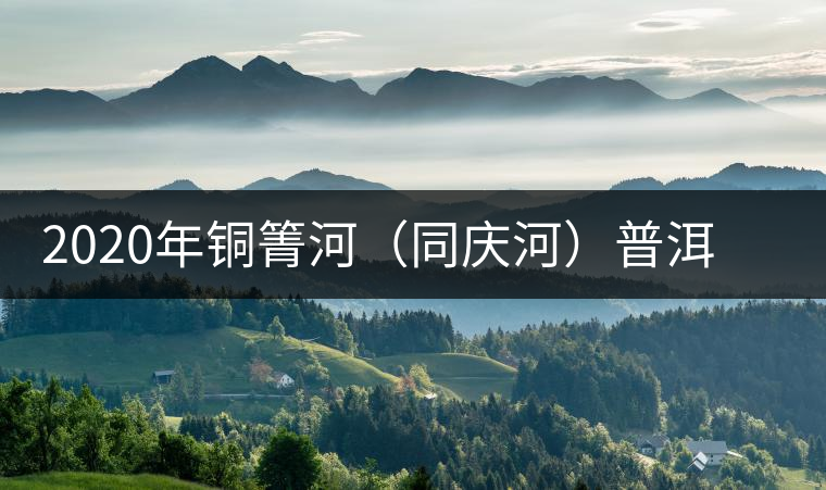 2020年銅箐河（同慶河）普洱茶，野味真難尋！-易武中聘號
