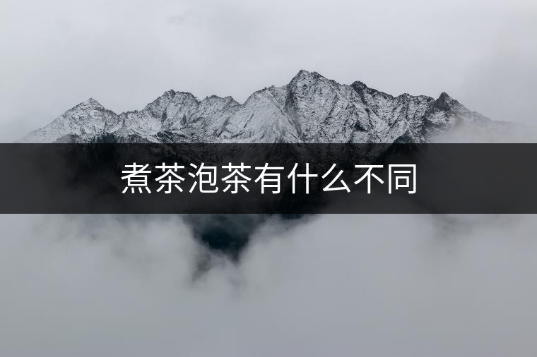煮茶泡茶有什么不同 煮茶泡茶有什么不同