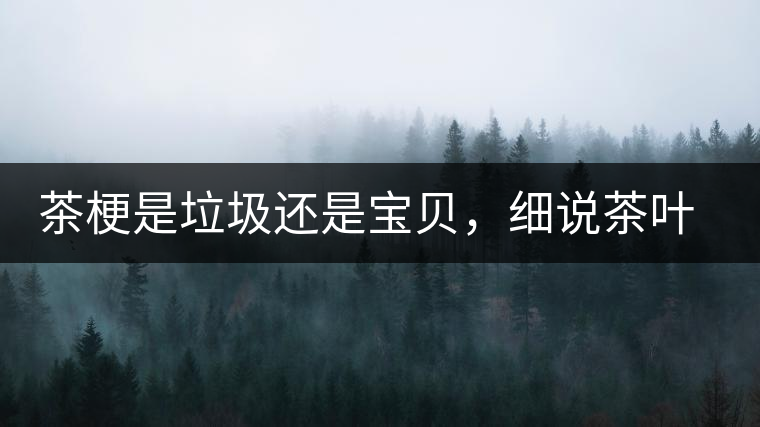 茶梗是垃圾還是寶貝，細說茶葉的那些梗