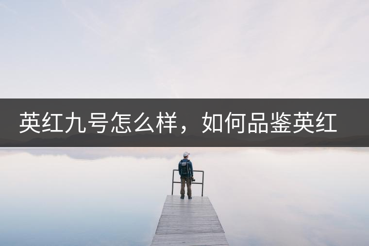 英紅九號怎么樣，如何品鑒英紅九號紅茶