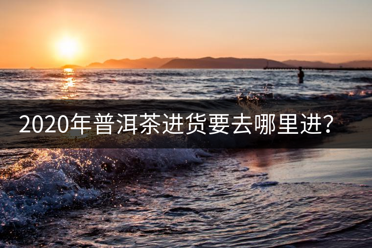 2020年普洱茶進貨要去哪里進？-易武中聘號