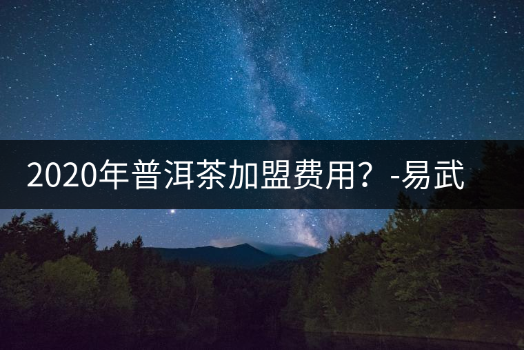 2020年普洱茶加盟費(fèi)用？-易武中聘號(hào)