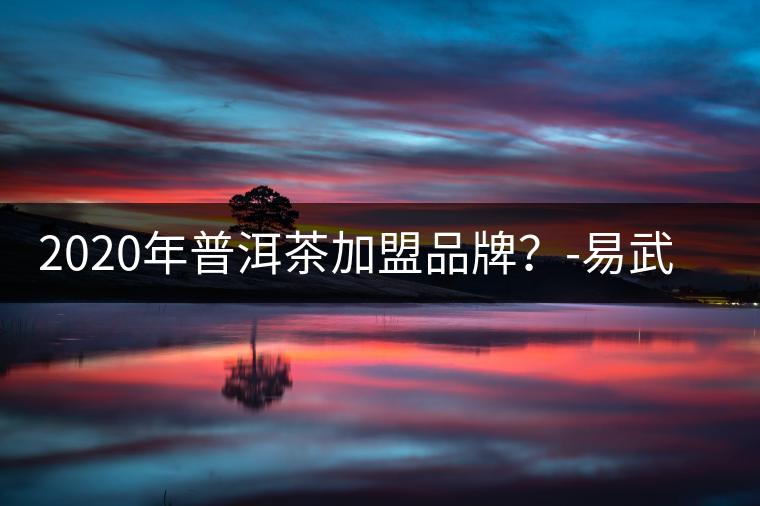 2020年普洱茶加盟品牌？-易武中聘號