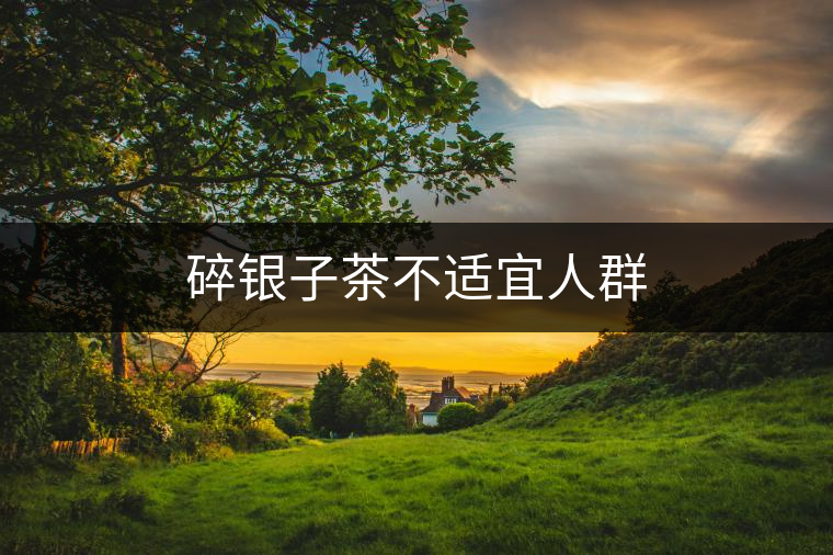 碎銀子茶不適宜人群