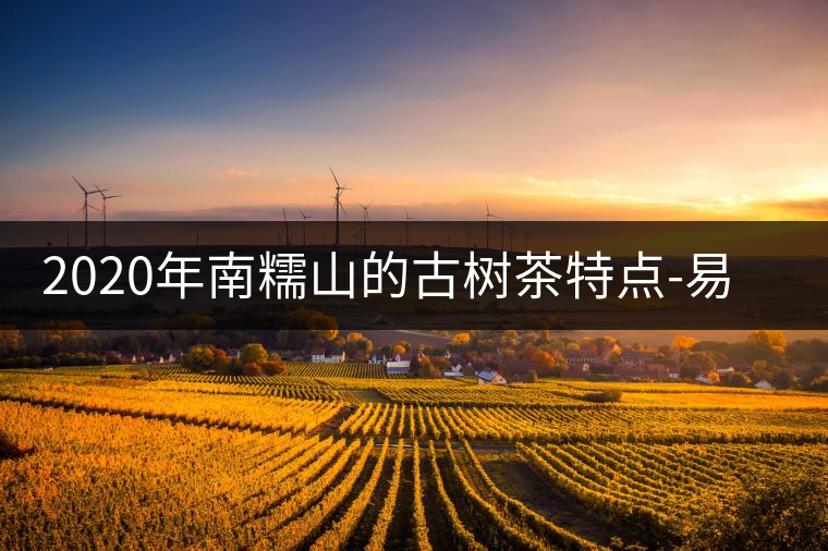 2020年南糯山的古樹茶特點(diǎn)-易武中聘號(hào)