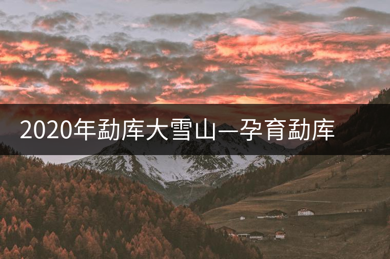 2020年勐庫大雪山—孕育勐庫大葉種英豪的搖籃-易武中聘號(hào)