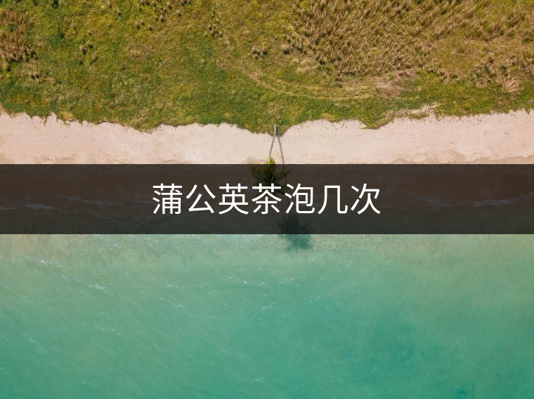 蒲公英茶泡幾次