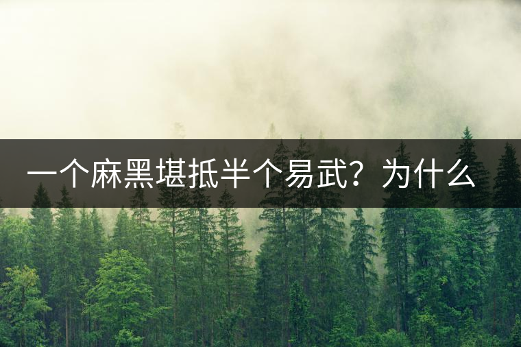 一個麻黑堪抵半個易武？為什么這么好喝？