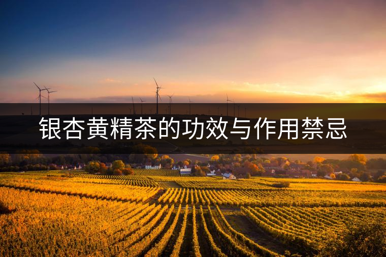 銀杏黃精茶的功效與作用禁忌