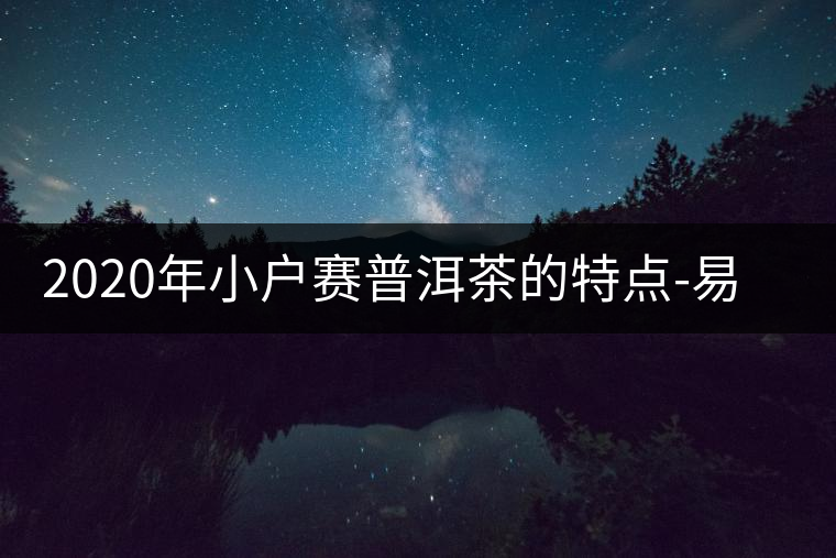 2020年小戶賽普洱茶的特點(diǎn)-易武中聘號(hào)