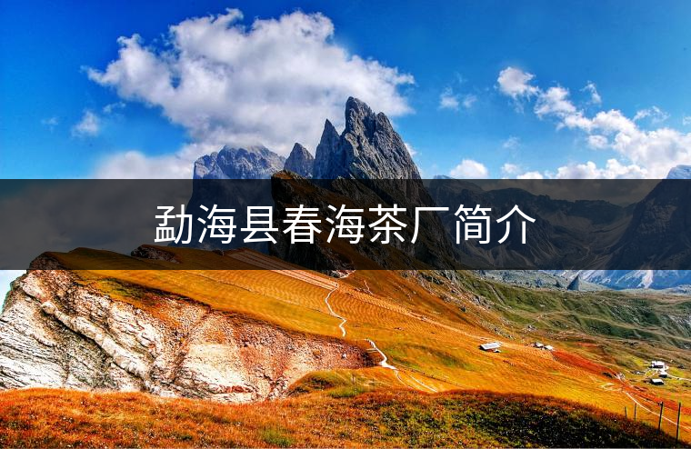 勐海縣春海茶廠(chǎng)簡(jiǎn)介