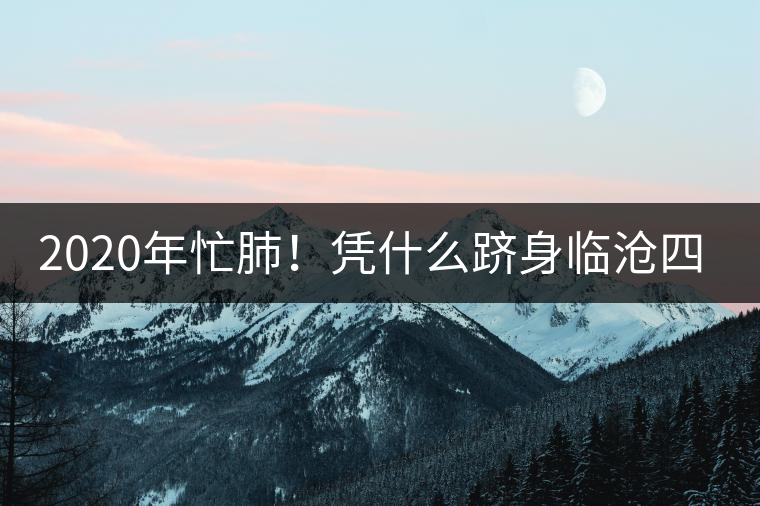 2020年忙肺！憑什么躋身臨滄四大名茶-易武中聘號(hào)