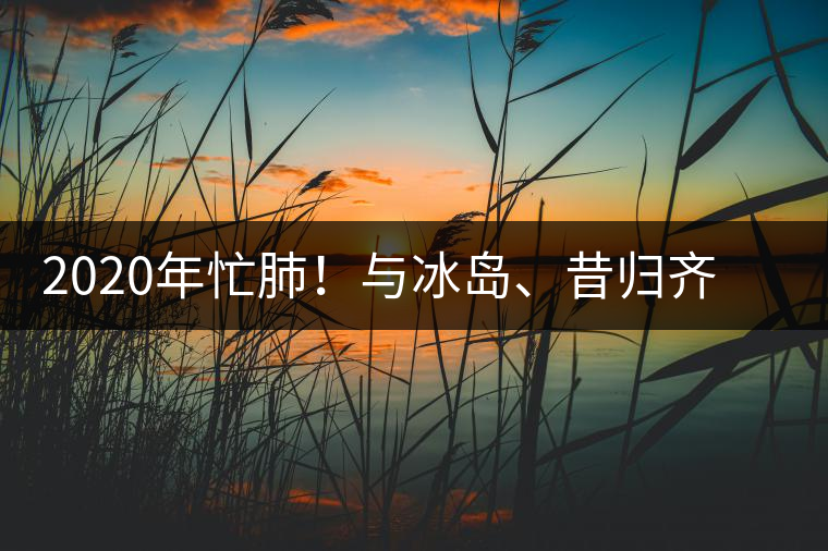 2020年忙肺！與冰島、昔歸齊名的普洱茶，到底是什么味道？-易武中聘號