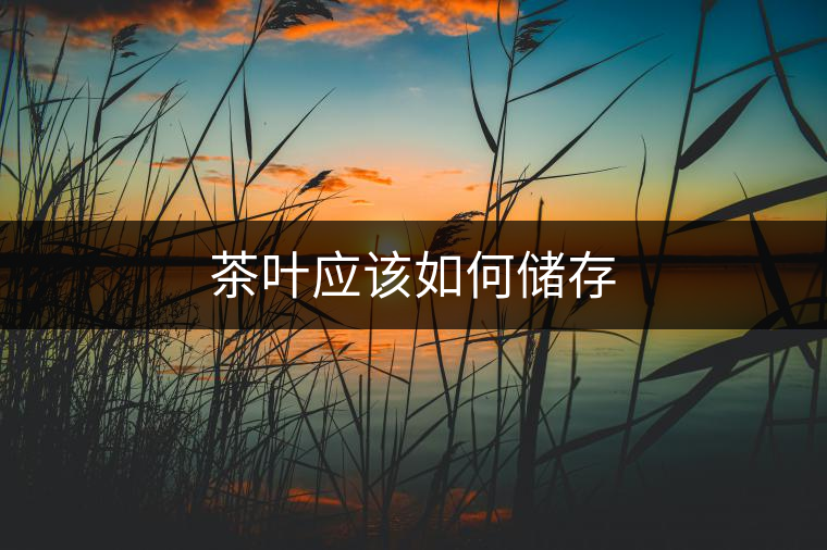 茶葉應(yīng)該如何儲(chǔ)存 茶葉應(yīng)該如何儲(chǔ)存