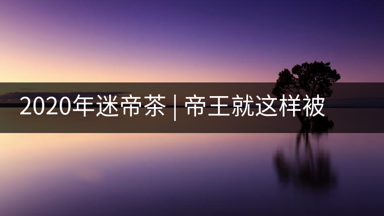 2020年迷帝茶 | 帝王就這樣被迷住了？-易武中聘號(hào)