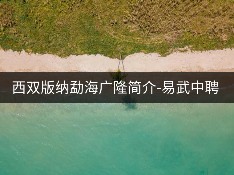 西雙版納勐海廣隆簡(jiǎn)介-易武中聘號(hào)