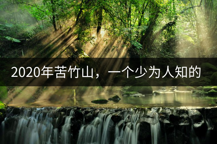 2020年苦竹山，一個(gè)少為人知的后起之秀！-易武中聘號(hào)