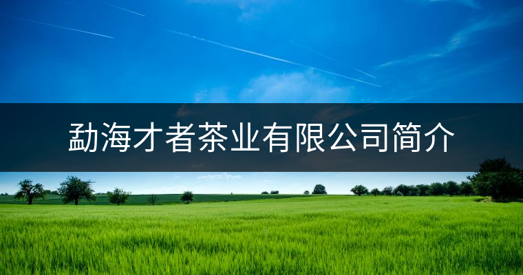 勐海才者茶業(yè)有限公司簡介