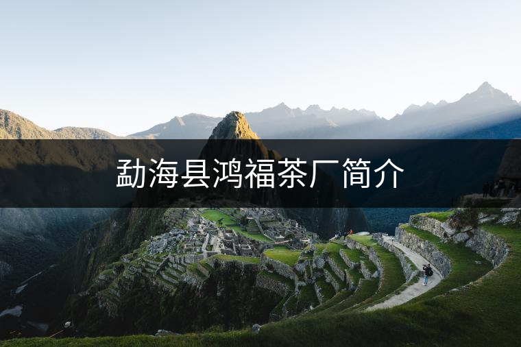 勐?？h鴻福茶廠簡介