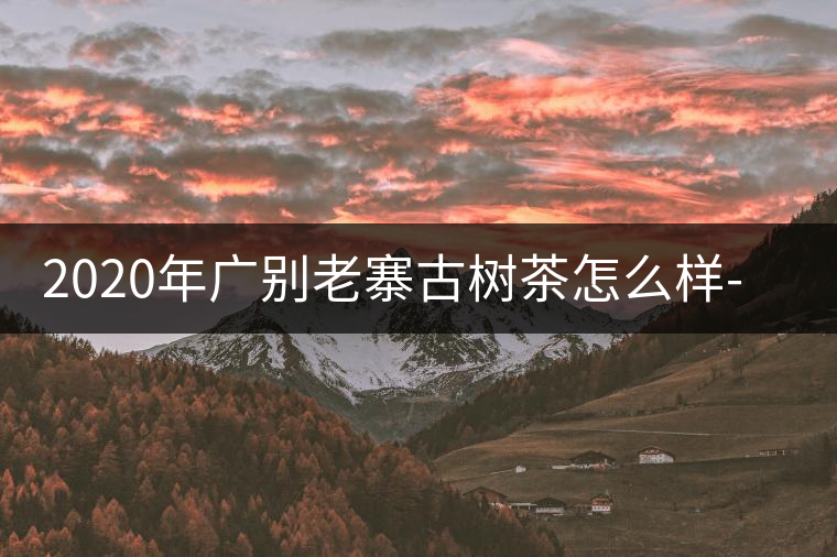 2020年廣別老寨古樹(shù)茶怎么樣-易武中聘號(hào) 2020年廣別老寨古樹(shù)茶怎么樣-易武中聘號(hào)