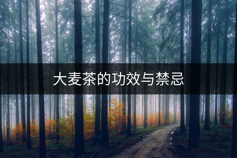 大麥茶的功效與禁忌 大麥茶的功效與禁忌