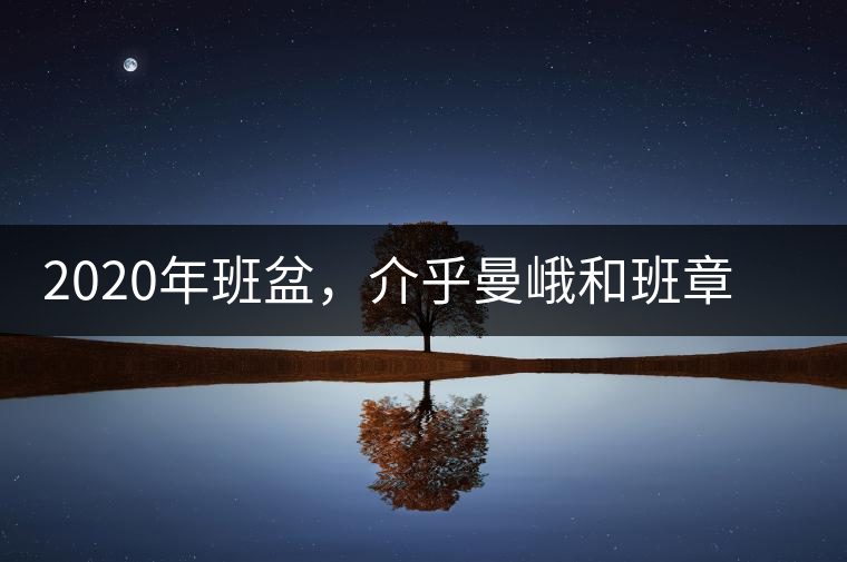 2020年班盆，介乎曼峨和班章間的“老漢子”-易武中聘號(hào)