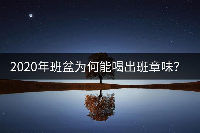 2020年班盆為何能喝出班章味？-易武中聘號(hào)