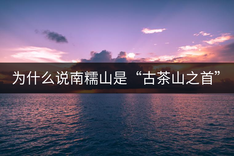 為什么說南糯山是“古茶山之首”？