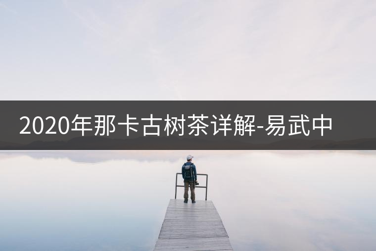 2020年那卡古樹茶詳解-易武中聘號
