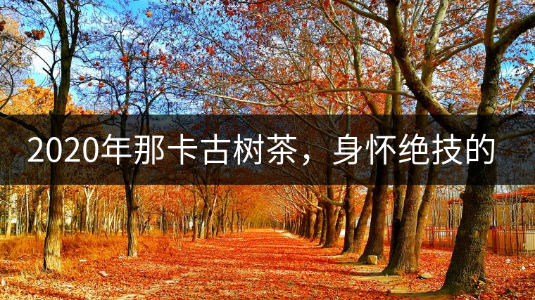 2020年那卡古樹茶，身懷絕技的“小班章” -易武中聘號(hào)